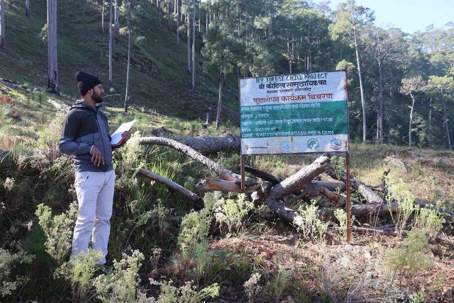 १२ सामुदायिक वनमा ३० हेक्टरमा वृक्षारोपण